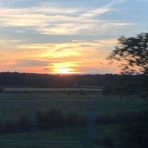 Meet your Posher, Gabriel